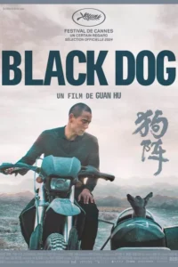 BLACK DOG Streaming VF 