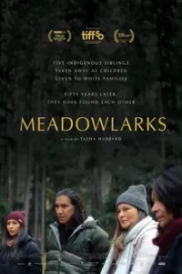 MEADOWLARKS Streaming VF 